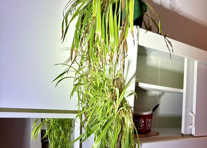 Balkonwohnung Neben Mol-bio 아파트